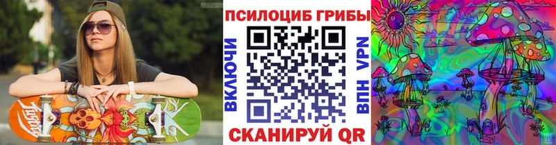Галлюциногенные грибы Psilocybe Талдом