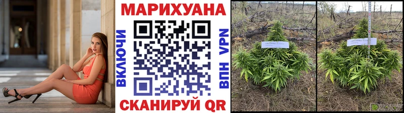 Марихуана индика  где можно купить   Талдом 